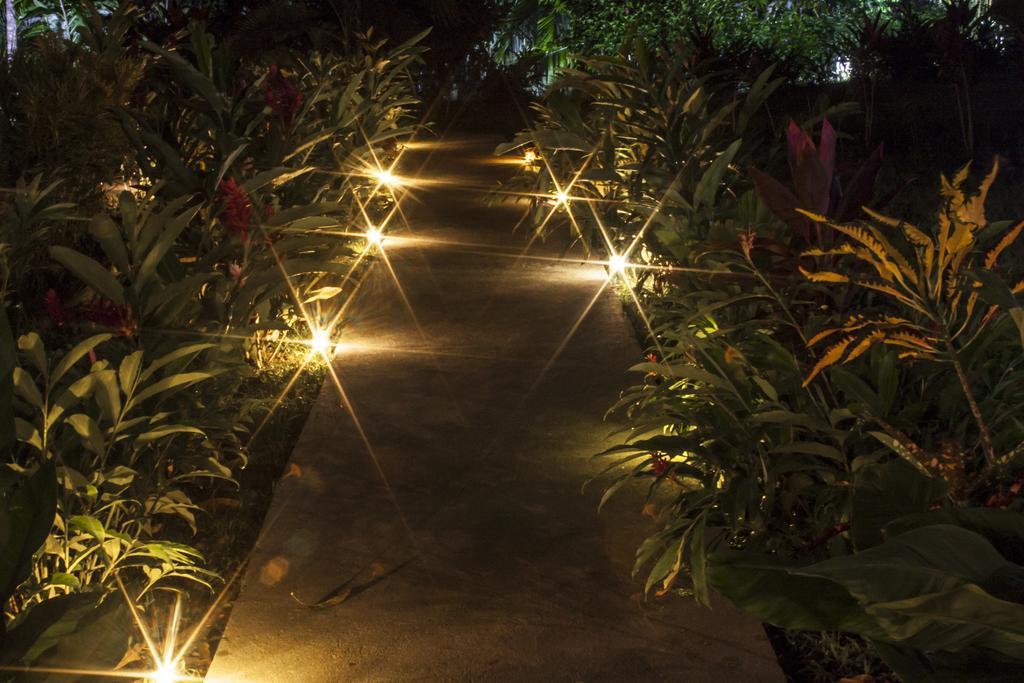 Manuel Antonio Hostel Resort מראה חיצוני תמונה