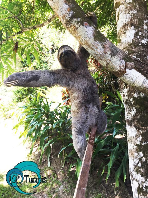 Manuel Antonio Hostel Resort מראה חיצוני תמונה