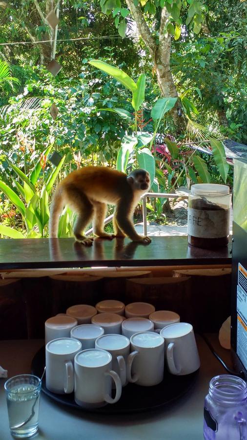 Manuel Antonio Hostel Resort מראה חיצוני תמונה